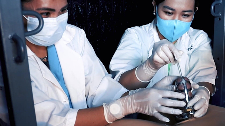 DominaFireOfficial: Medical CBT sessions by two nurses