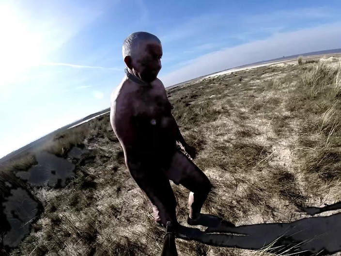 Andy: Promenad i november