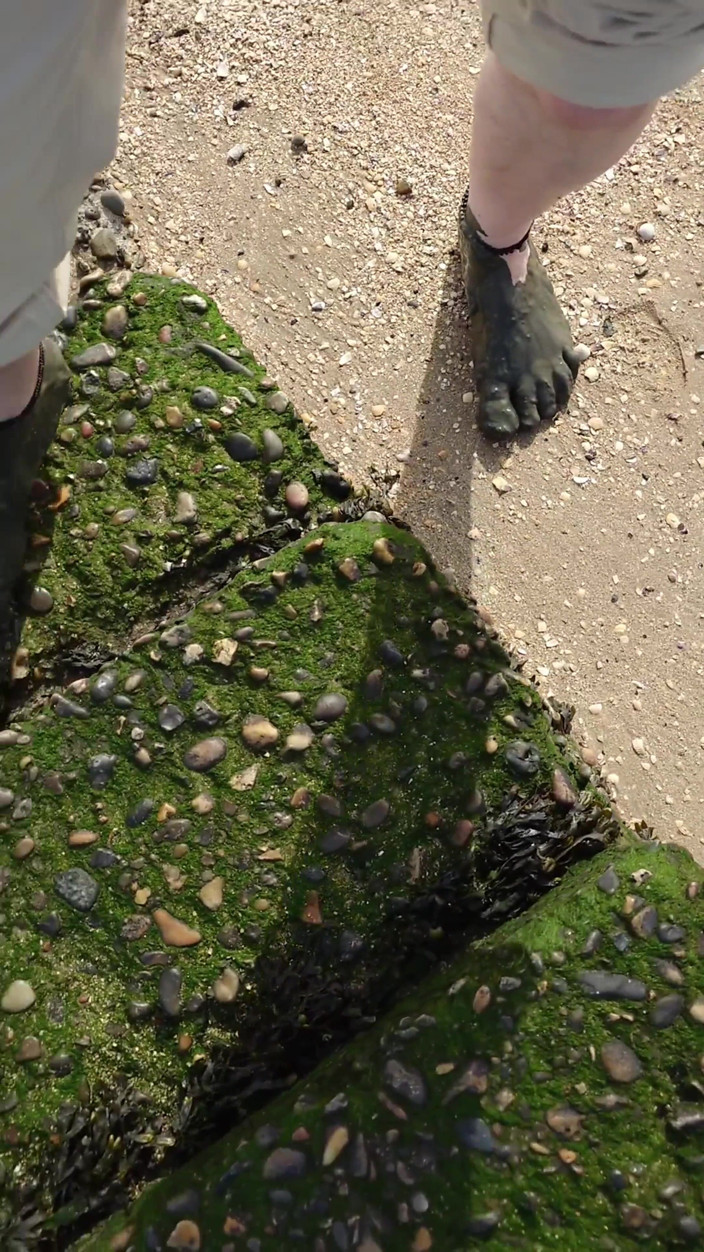 Footfetish: Krótki Test Na Błotnistych Płaskach Na Plaży Horumersiel