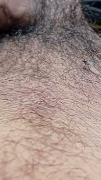 Ev Video Porno Video