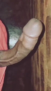 Batang Afrika yang bengkung