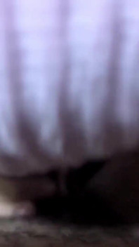 Pasangan Arab Marocain