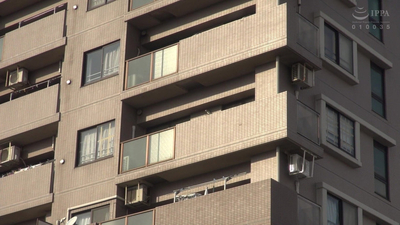 Vulture: Semua tentang Natsu Tojo!