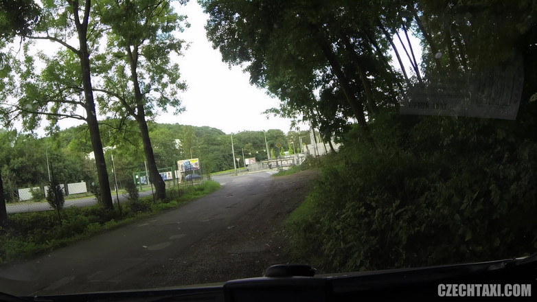 Czech Taxi: 보지 샤워