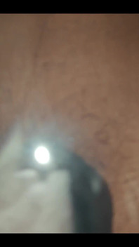 749771317682647040.mp4