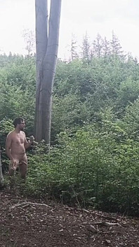 Entre los hayas: Una exposición rudimentaria sobre madera desnuda