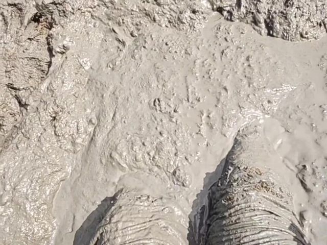 Throwing a Few Large Different Edited Put Together Muddy Adventure (Sunbeam0072)