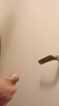 Cumming Toiletdoor