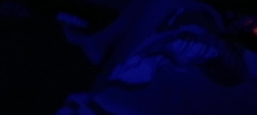 Blue rose: Clouds in Pussy