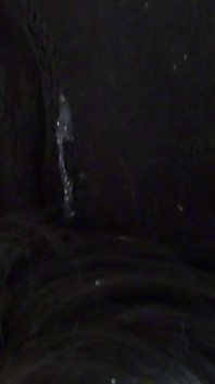Facial Ecstasy POV Compilation 8
