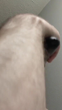 Rasieren und trimmen von schwanz, eiern und gesicht