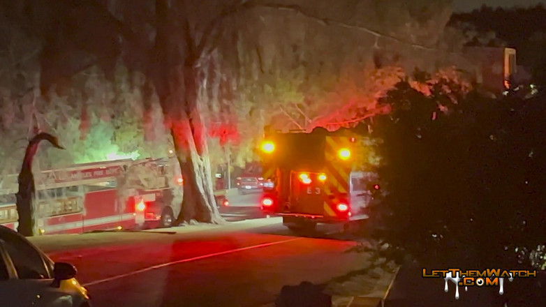 Let them watch: Sexul anal dur în public i-a prins pe tineri latino futându-se!