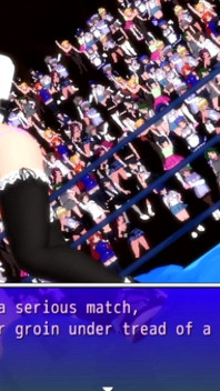 Ultimate Fighting Girl typ a (normal) (fanclub)