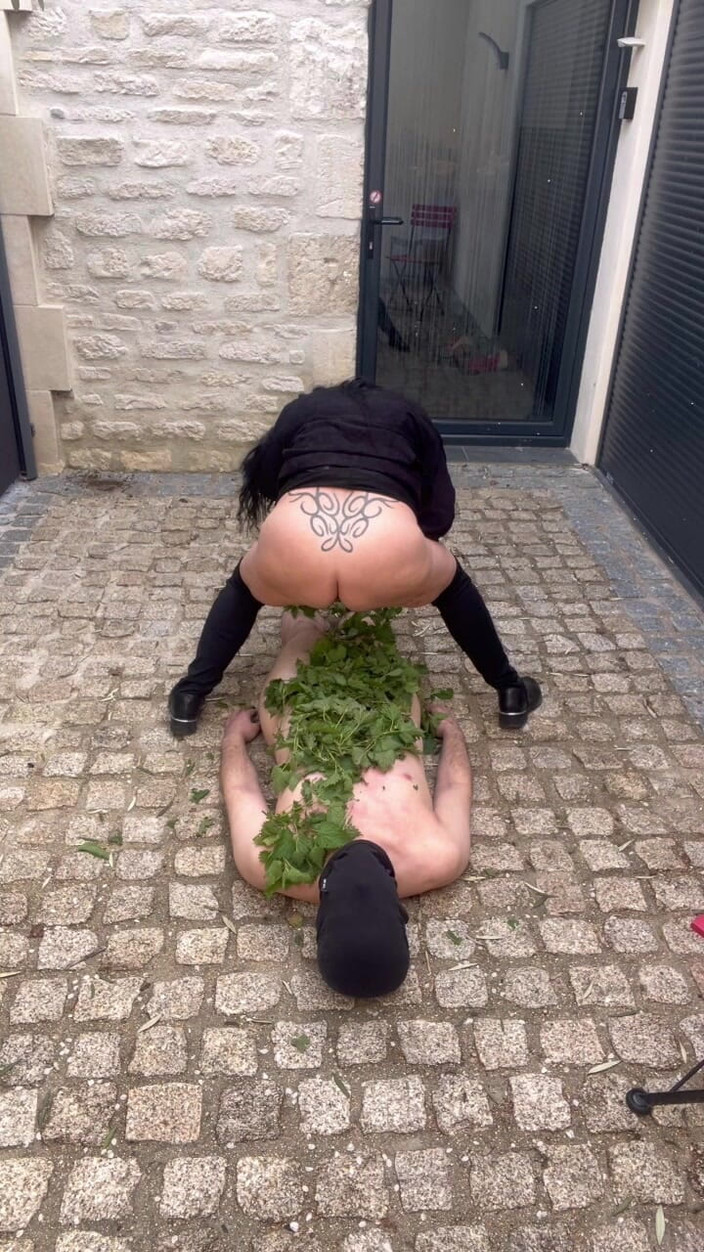 Maitresse Clara: यह बिछुआ को डंक मारता है...