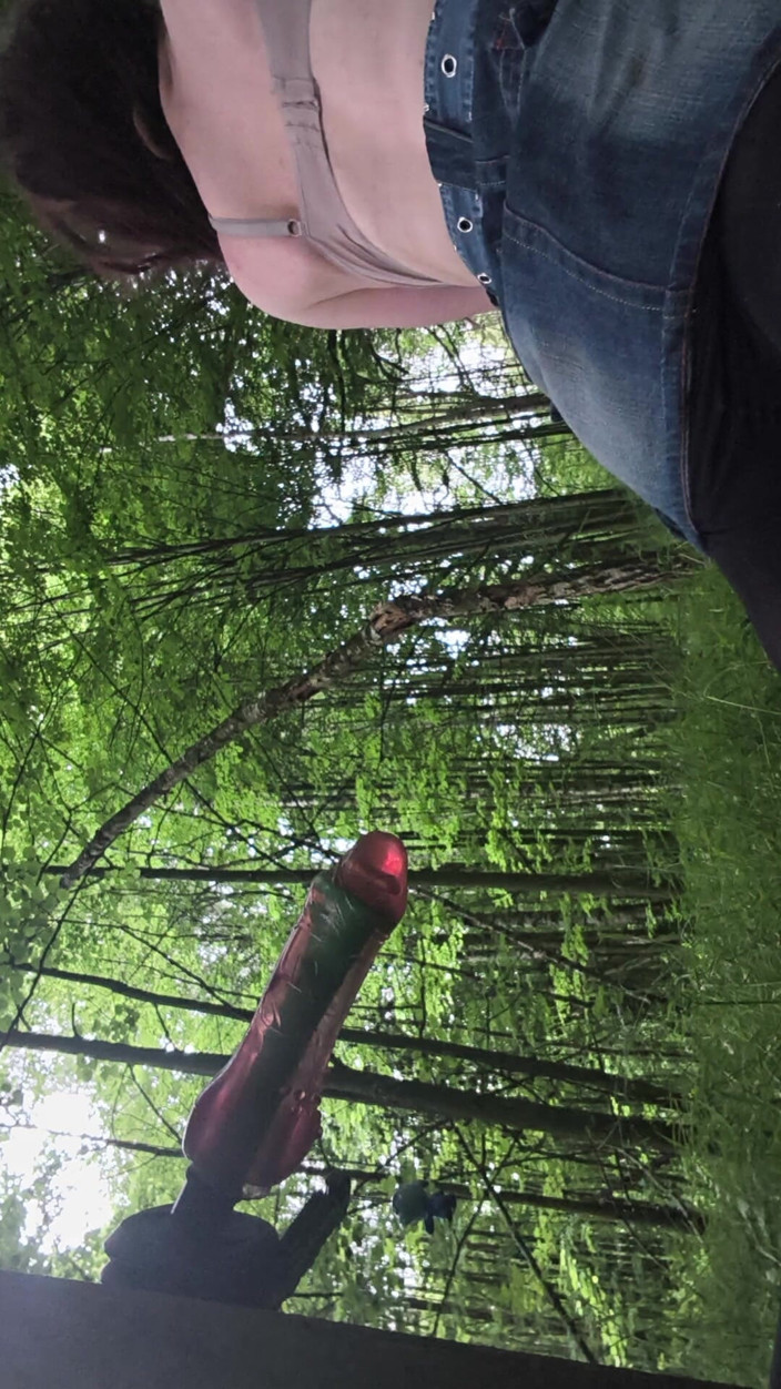 GabriellaGabiSuka: Ich bin in den Wald gegangen, um einen Baum zu...