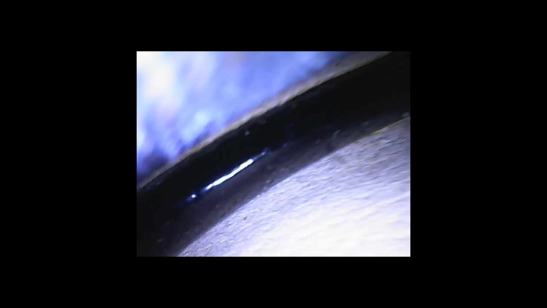 Fetish Bear Productions: Spéculum et microcamera pour Lady Soniac