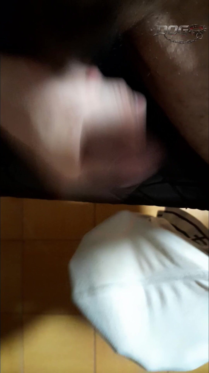 ElDogo: Smegma et fini en sous-vêtements