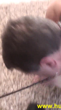 Penghinaan cuckold Maledom