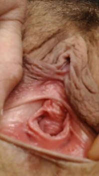 Primo piano grandi labbra figa spessa spalancamento