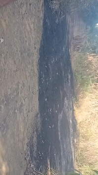 Eu Adoro Gozar No Meio Da Estrada Na Mata