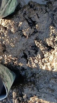 Mud Fun in Rubber Camo Wellies