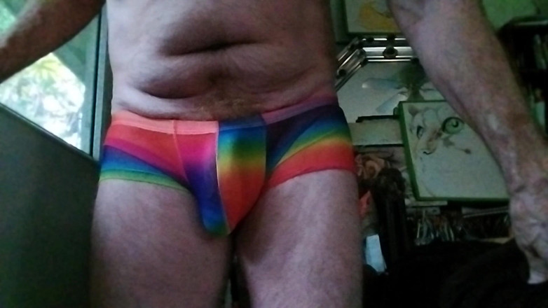 Hairyartist: Pridewear