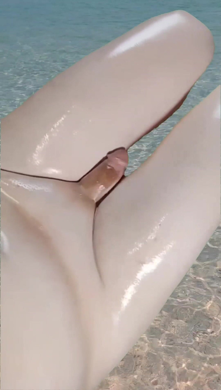 Kitty_Cross: 6热油射在水闪闪发光的大腿女性美味的腿