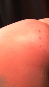 Two matured chicks fist each other