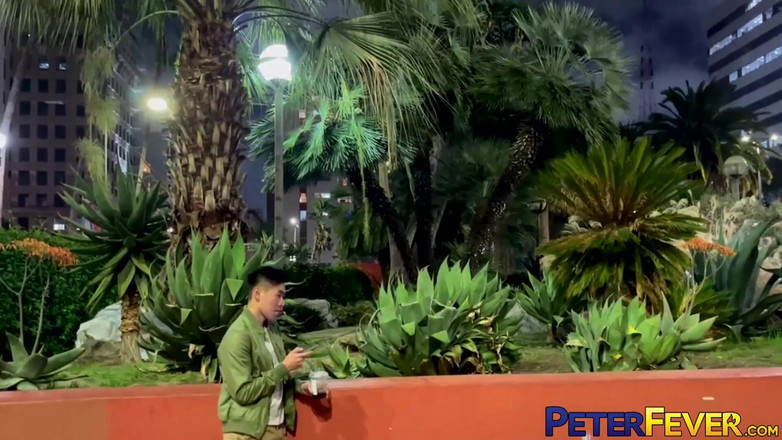 Peter Fever: Peterfever Introducing Shen Kaito