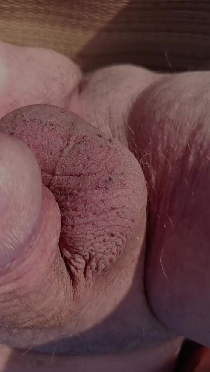 Hamsterteletu: Senior Spielt Im Freien