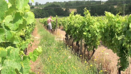 Gaybareback: Fucked in the vine-yard by a straight worker