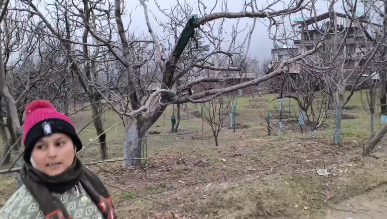 Desi chudai hub: Dağda tek gecelik sikiş