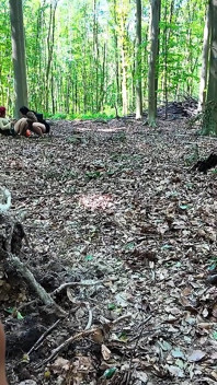 A Voyeur in the Forest Fucks 2 Bitches