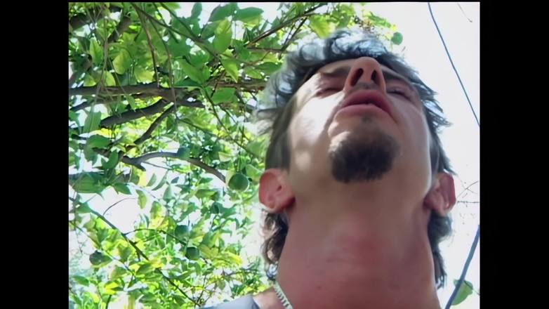 Blitzporn: 야외에서 자지를 빨고 세게 두드리는 것을 좋아하는 아름다운 갈색 머리