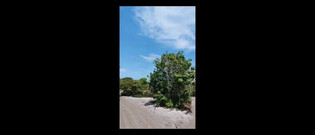 Nati Roza: Jalan Pantai