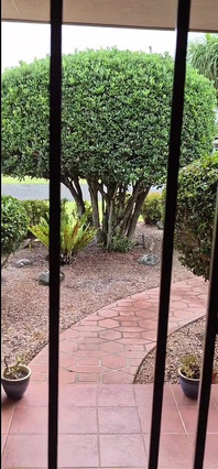 Daha Fazlası Değil