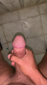 Jerking in a Public Toilet