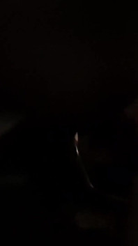 Dogging Date in the Night