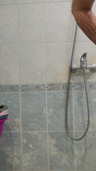 Shower Dick