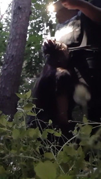 Ich ficke meine stiefschwester im wald in den mund, damit ihr freund uns nicht erwischt
