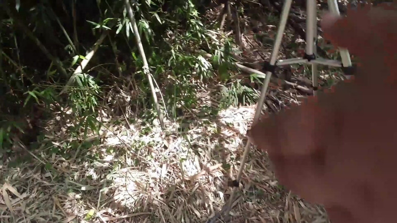 Enfgulosa: Sexo en el arbusto