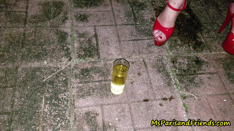 Ms Paris and Friends: Мисс Paris писает во всем, что находит - подборка