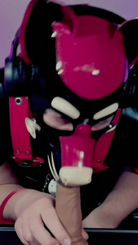 Goodboy Teases Playful Pup