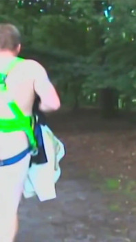 Promenade dans la forêt nue, insertions anales