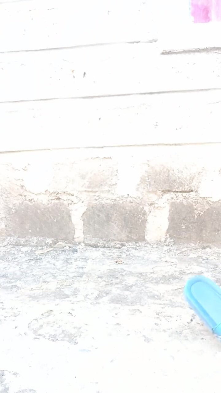 Sexyjayla254: 非洲底部摇晃涂油的大屁股