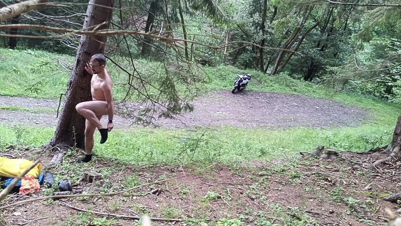 kickerscooter: Fauna selvatica