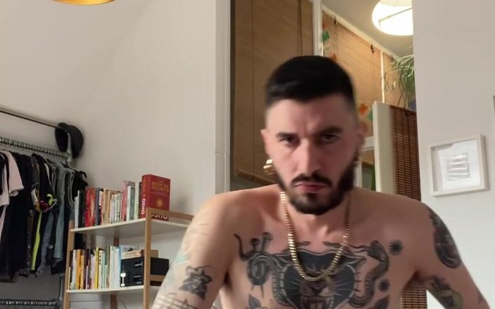 Stallion papi: Honění Tatto