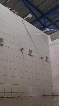Tutto scivolamento culo e cazzo sapone