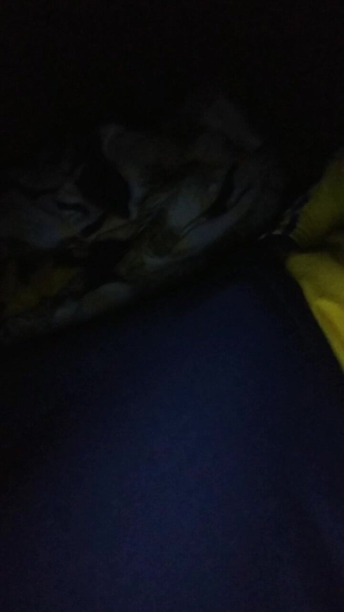 AlexAlejandro13: 아침에 일어났어요