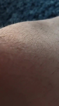 모든 감각을 괴롭히는 털이 많은 다리